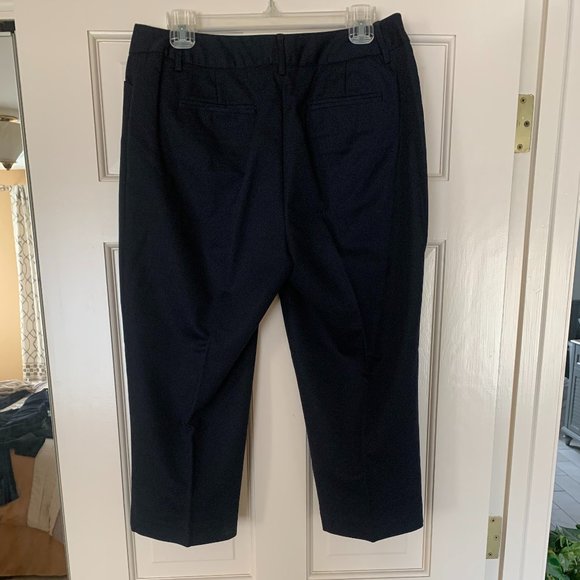 Rafaella Navy Blue Curvy Fit Capri Pants - Size 8 - Picture 3 of 8